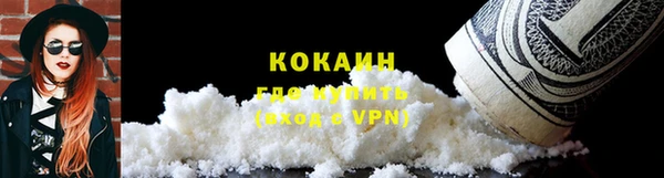 мяу мяу мука Абаза