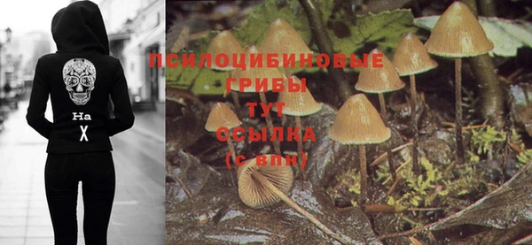 ECSTASY Абинск