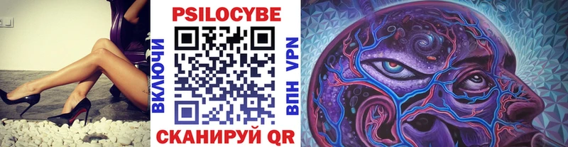 Псилоцибиновые грибы GOLDEN TEACHER Заводоуковск