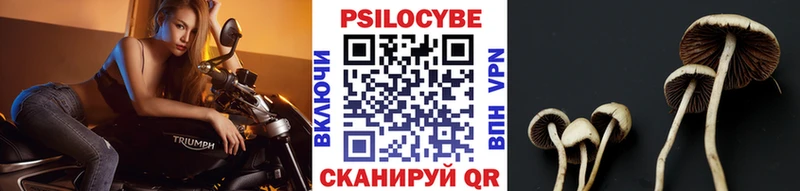 купить наркотик  МЕГА сайт  Псилоцибиновые грибы MAGIC MUSHROOMS  Заводоуковск 